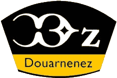 Logo couleur DZ
